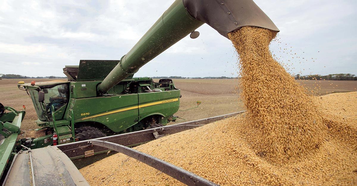 Re: [新聞] 不買美國大豆屬「敵對行為」！ 川普放話