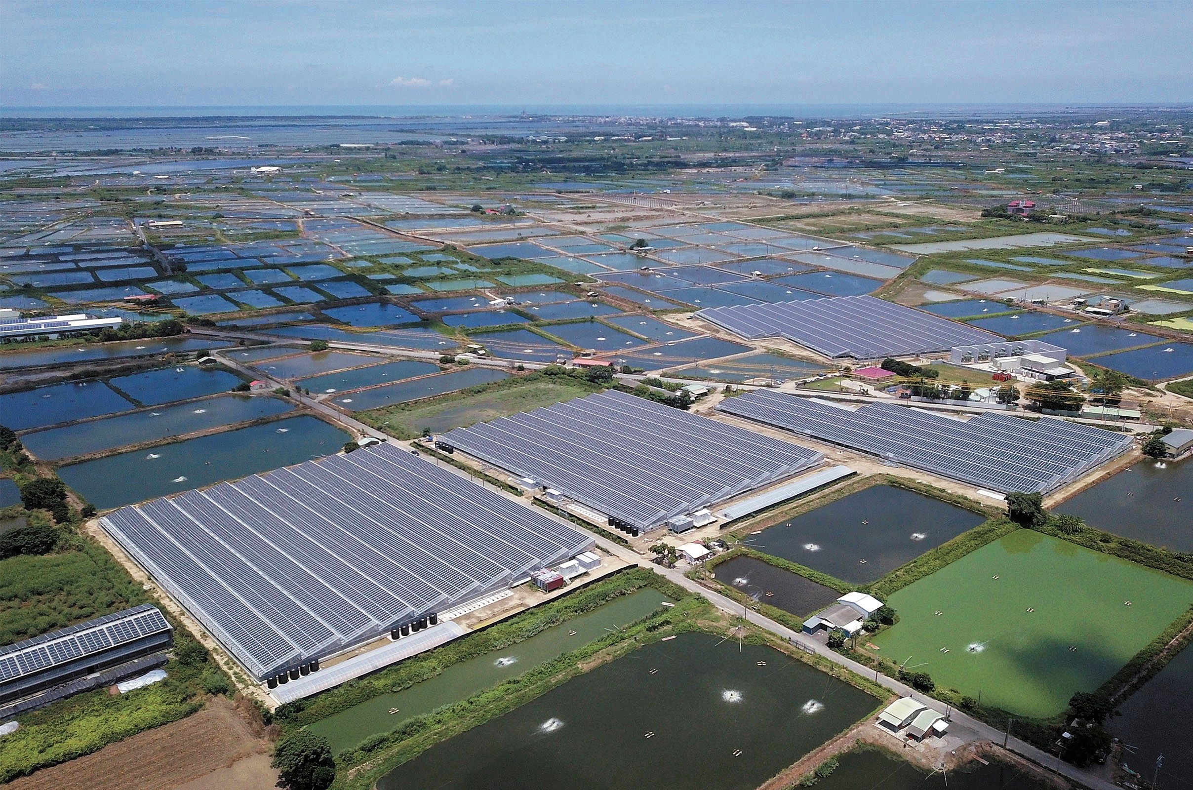 ▲向陽集團漁電共生科技養殖,引動嘉義縣義竹鄉創生契機。(圖/向陽光電提供)